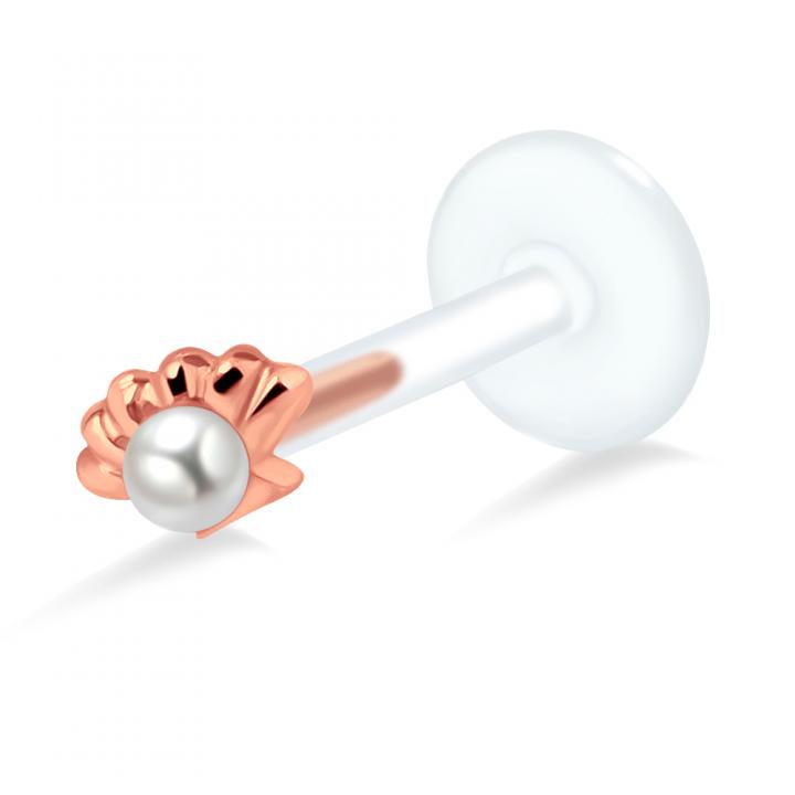 PTFE Tragus Labret Muschel silber schwarz goldfarbig roségoldfarbig