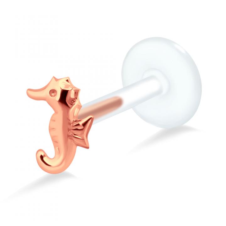 PTFE Tragus Labret Seepferd silber schwarz goldfarbig roségoldfarbig