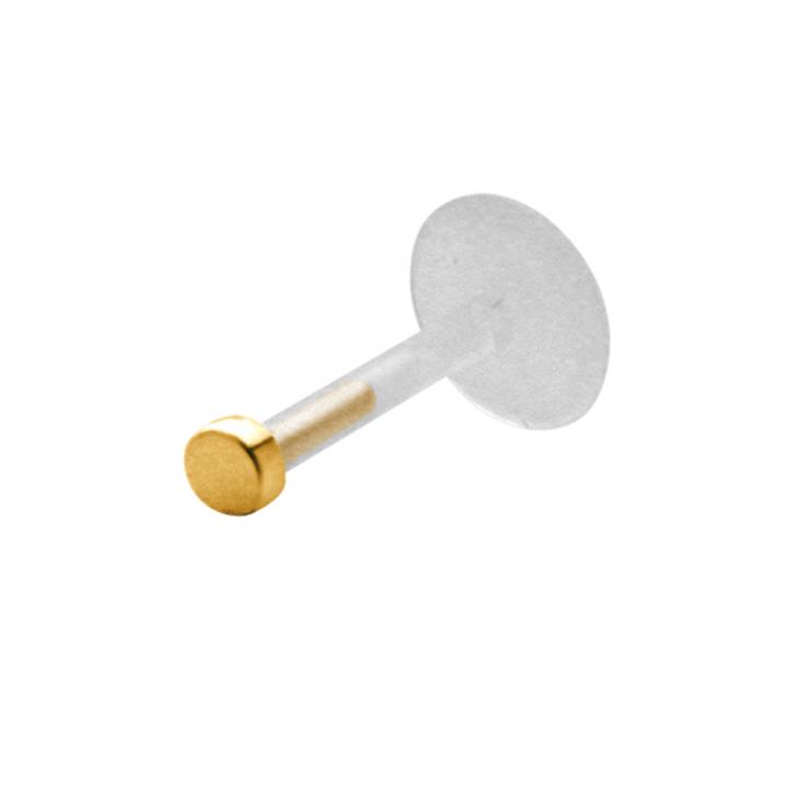 PTFE Tragus Labret Disk silber schwarz goldfarbig roségoldfarbig