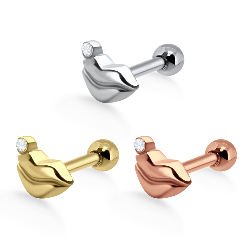 Helix Tragus Piercing Mund silberfarbig goldfarbig roségoldfarbig