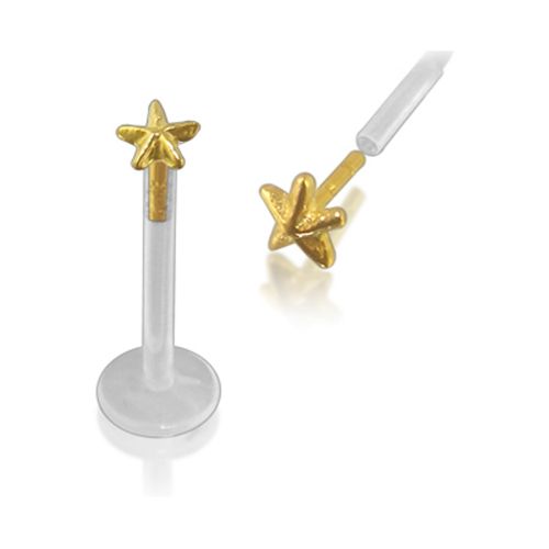 PMFK Piercing Labret Stecker 14karat Echtgold mit 3.5mm-Seestern