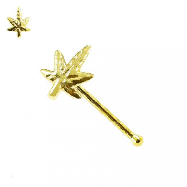 🦚 14karat Gold Nasenstecker Nasenpiercing Gelbgold Motiv Cannabis mit Geschenkbox 🦚 14karat Gold Nasenstecker Nasenpiercing Gelbgold Motiv Cannabis mit Geschenkbox