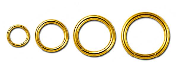 gl210a Segmentring Goldfarben in 1.2mm oder 1.6mm Stahl Piercing Ring