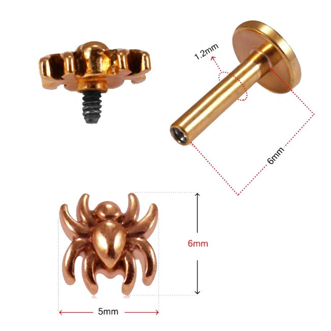 Helix Tragus Piercing Spinne silberfarbig goldfarbig roségoldfarbig