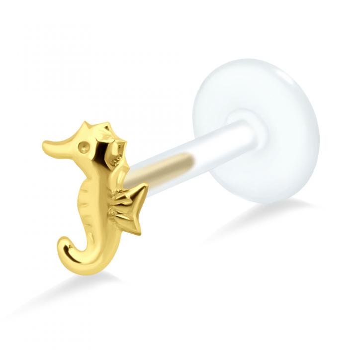 PTFE Tragus Labret Seepferd silber schwarz goldfarbig roségoldfarbig