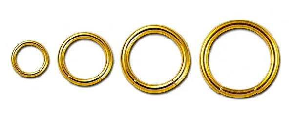 Segmentring Goldfarben in 1.2mm oder 1.6mm Stahl Piercing Ring