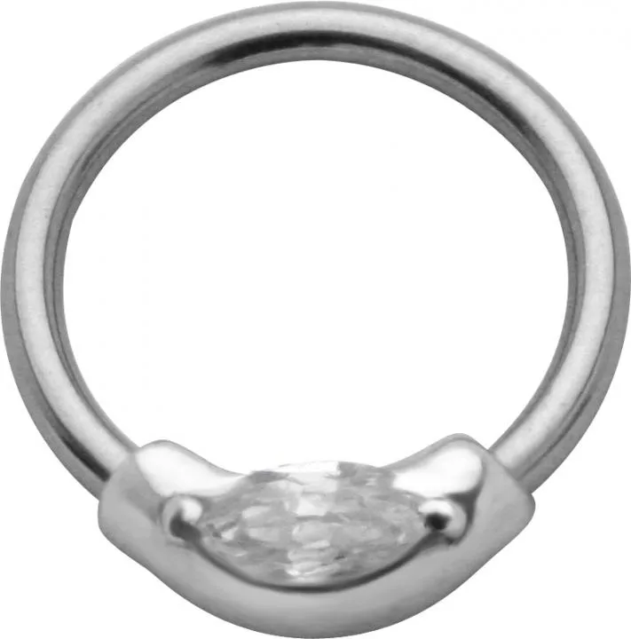 Brustwarzen BCR Ring Kristall Klemmring Nippel Piercing Stahl o Titan